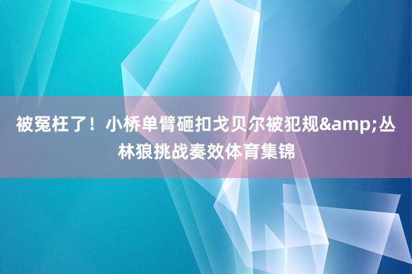 被冤枉了！小桥单臂砸扣戈贝尔被犯规&丛林狼挑战奏效体育集锦