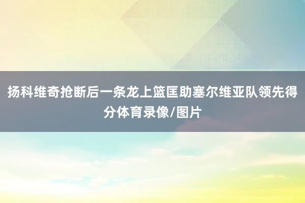 扬科维奇抢断后一条龙上篮匡助塞尔维亚队领先得分体育录像/图片