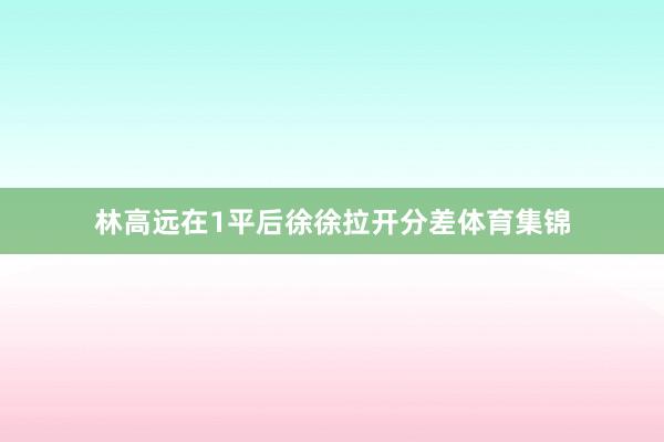 林高远在1平后徐徐拉开分差体育集锦