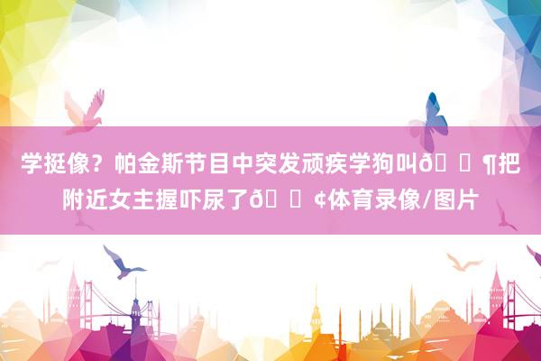 学挺像？帕金斯节目中突发顽疾学狗叫🐶把附近女主握吓尿了😢体育录像/图片