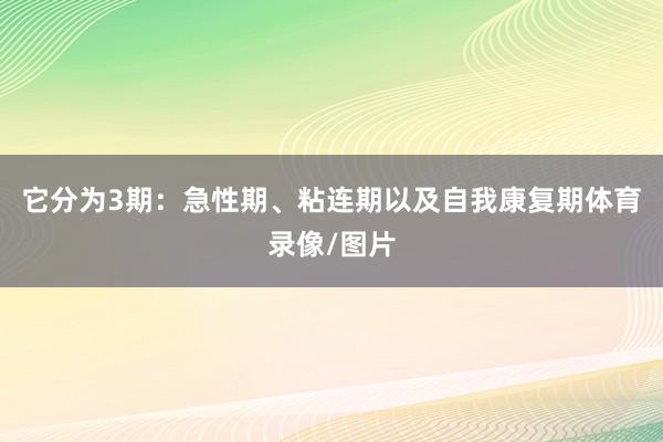 它分为3期：急性期、粘连期以及自我康复期体育录像/图片