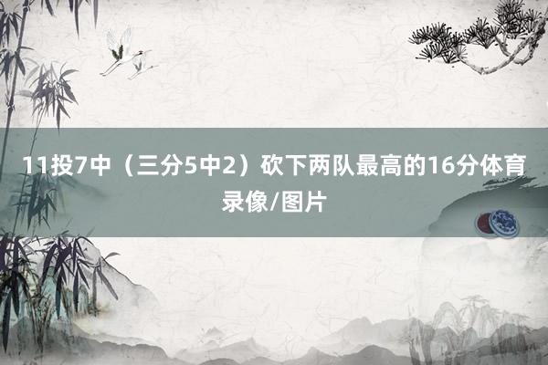 11投7中（三分5中2）砍下两队最高的16分体育录像/图片