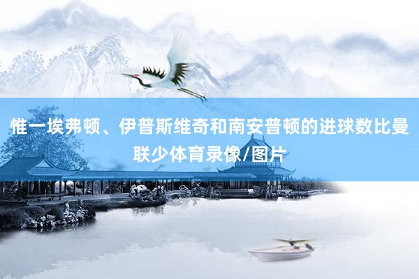 惟一埃弗顿、伊普斯维奇和南安普顿的进球数比曼联少体育录像/图片