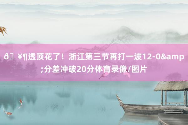 🥶透顶花了！浙江第三节再打一波12-0&分差冲破20分体育录像/图片